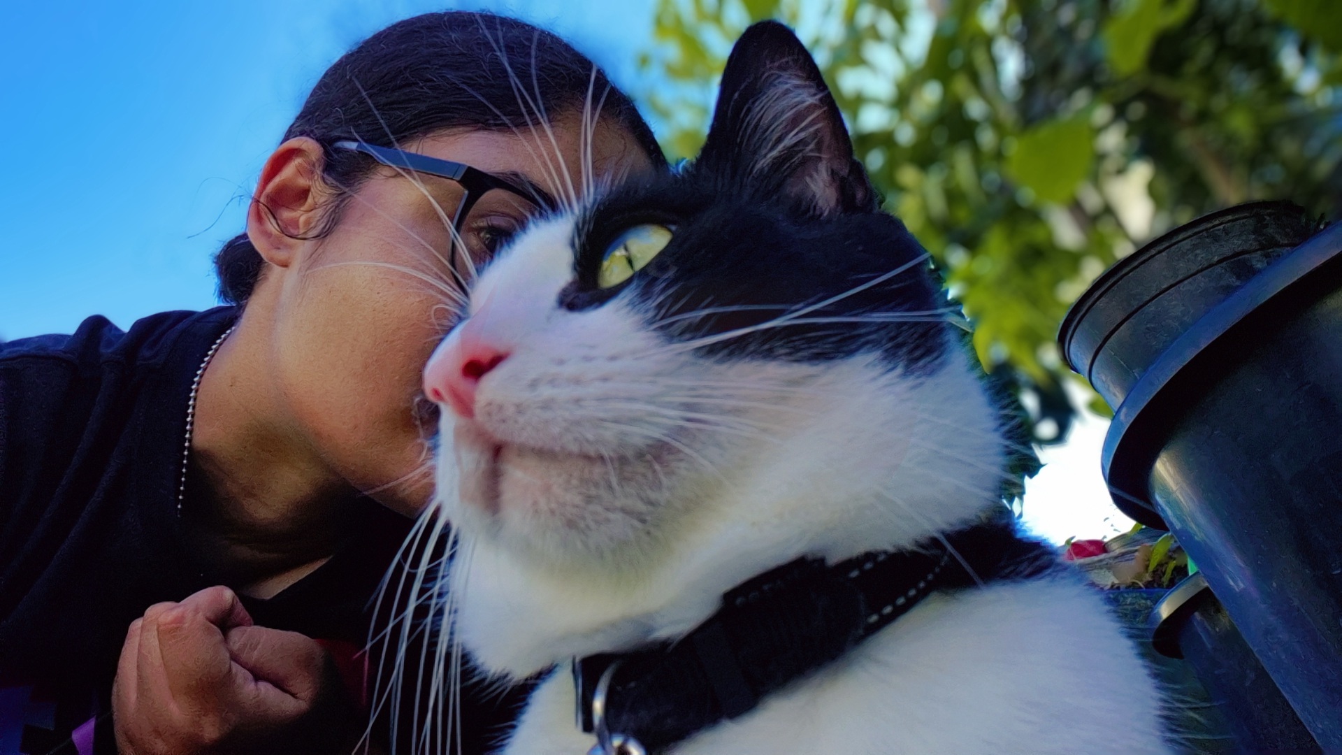 Case Study: Turning My Cat Simmba into a Human Using AI